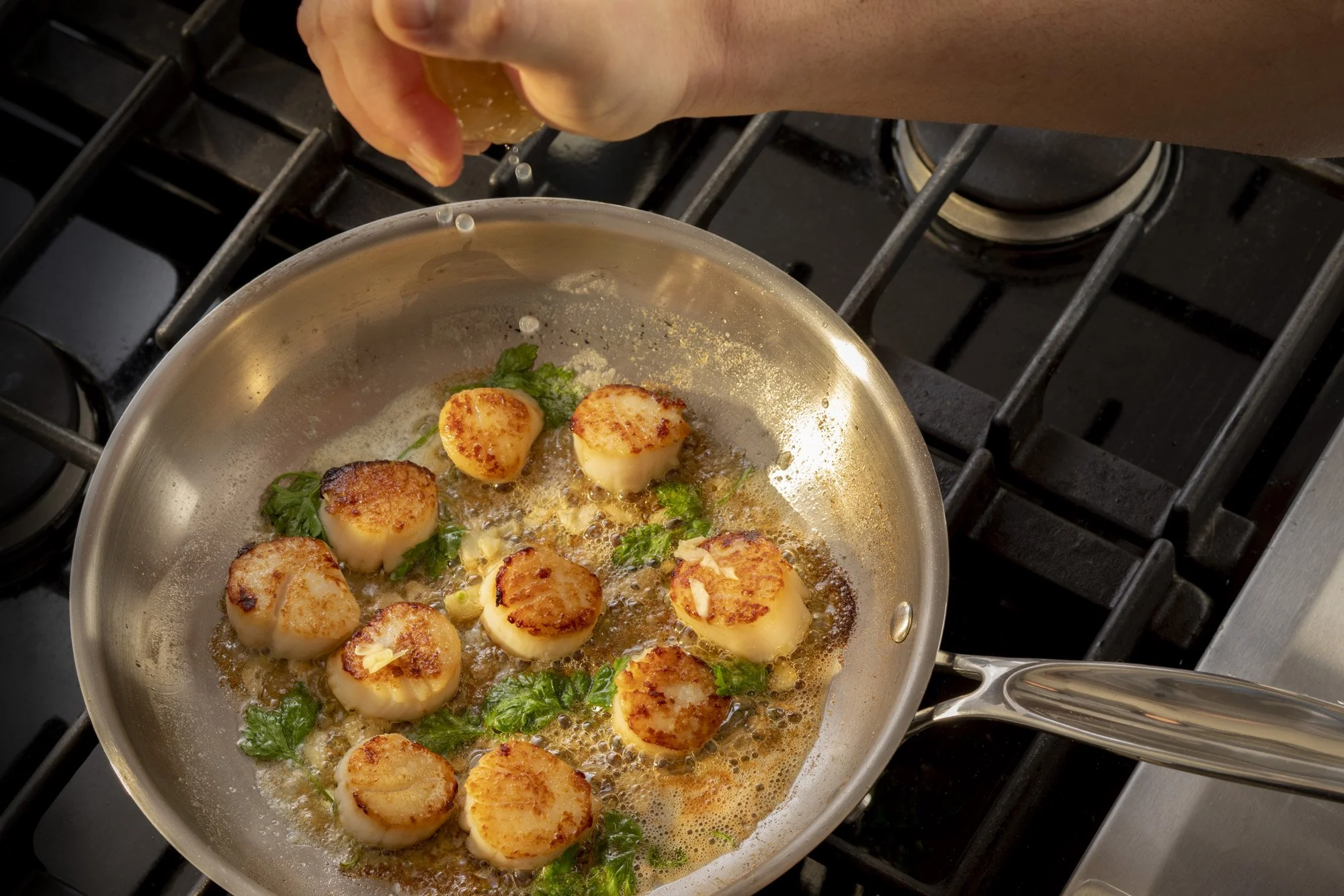 Meyer Confederation Stainless Steel 24cm/9.5" Frying Pan, Skillet, Made in Canada - Image 3